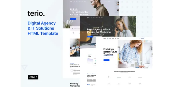 Terio: Digital Excellence & IT Expertise